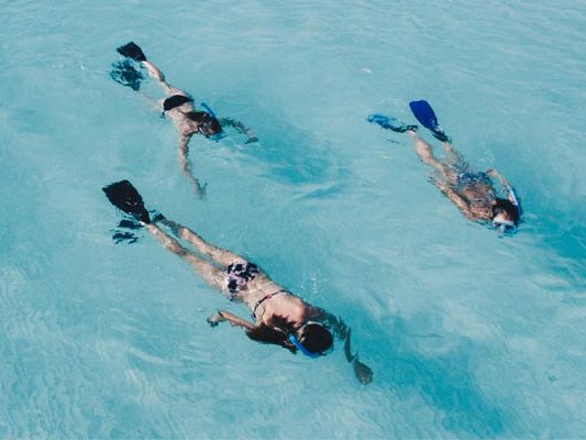 Snorkeling στις Μικρές Κυκλάδες: Ανακαλύψτε τον βυθό διασκεδάζοντας!